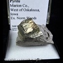 Mineral Specimen: Pyrite from Marion Co., West of Okaloosa, Iowa, Ex. Norm Woods Mineral Specimen: Pyrite from Marion Co., West of Okaloosa, Iowa, Ex. Norm Woods