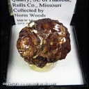 Mineral Specimen: Pyrite from Continental Cement Quarry, SE of Hanibal, Rulls Co., Missouri, Collected by Norm Woods Mineral Specimen: Pyrite from Continental Cement Quarry, SE of Hanibal, Rulls Co., Missouri, Collected by Norm Woods