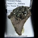 Mineral Specimen: Pyrite from Rensselaer Quarry, Pleasant Ridge, Jasper Co., Indiana, Ex. Norm Woods