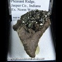 Mineral Specimen: Pyrite from Rensselaer Quarry, Pleasant Ridge, Jasper Co., Indiana, Ex. Norm Woods Mineral Specimen: Pyrite from Rensselaer Quarry, Pleasant Ridge, Jasper Co., Indiana, Ex. Norm Woods