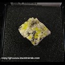 Mineral Specimen: Tyuyamunite from Grants District, Valencia, New Mexico, Ex. Norm Woods Mineral Specimen: Tyuyamunite from Grants District, Valencia, New Mexico, Ex. Norm Woods