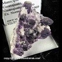 Mineral Specimen: Amethyst from Municipio de Guanajuato, Guanajuato, Mexico, Ex. Norm Woods Mineral Specimen: Amethyst from Municipio de Guanajuato, Guanajuato, Mexico, Ex. Norm Woods
