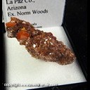 Mineral Specimen: Wulfenite from Red Cloud Mine, La Paz Co., Arizona, Ex. Norm Woods