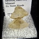 Mineral Specimen: Selenite from Saverton, Ralls Co., Missouri, Ex. Norm Woods