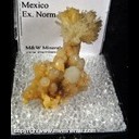 Mineral Specimen: Aragonite from Mexico, Ex. Norm Woods Mineral Specimen: Aragonite from Mexico, Ex. Norm Woods