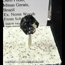 Mineral Specimen: Hematite variety: Iron Rose from Ouro Preto, Minas Gerais, Brazil, Ex. Norm Woods