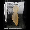 Mineral Specimen: Quartz variety: Scepter from Banska Stiavnica, Banska Bystrica Region, Slovakia, Ex. Norm Woods, Collected by R. Yino. May 2012 Mineral Specimen: Quartz variety: Scepter from Banska Stiavnica, Banska Bystrica Region, Slovakia, Ex. Norm Woods, Collected by R. Yino. May 2012