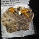 Mineral Specimen: Wulfenite (some crystals are incomplete) from Mina San Francisco, Cerro Prieto, Municipio de Cucurpe, Sonora, Mexico, Ex. Norm Woods