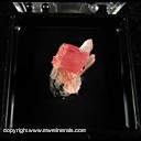 Mineral Specimen: Rhodochrosite, Quartz, Tetrahedrite from Blue Moon Pocket, Main Stope, Sweet Home Mine, Alma District, Colorado, June, 1996 Mineral Specimen: Rhodochrosite, Quartz, Tetrahedrite from Blue Moon Pocket, Main Stope, Sweet Home Mine, Alma District, Colorado, June, 1996