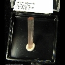 Mineral Specimen: Tourmaline from Nooristan, Afghanistan Mineral Specimen: Tourmaline from Nooristan, Afghanistan