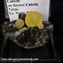 Mineral Specimen: Calcite, Yellow on Brown from Texas, Ex. Norm Woods Mineral Specimen: Calcite, Yellow on Brown from Texas, Ex. Norm Woods