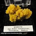 Mineral Specimen: Mimetite from San Pedro Corralitos, Municipio de Casa Grandes, Chihuahua, Mexico, Ex. Norm Woods Mineral Specimen: Mimetite from San Pedro Corralitos, Municipio de Casa Grandes, Chihuahua, Mexico, Ex. Norm Woods