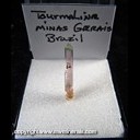 Mineral Specimen: Tourmaline from Minas Gerais, Brazil, Ex. Norm Woods Mineral Specimen: Tourmaline from Minas Gerais, Brazil, Ex. Norm Woods