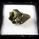 Mineral Specimen: Chalcopyrite from Mina San Martin, San Martin-Sabinas District, San Martin, Muncipio de Sombrerete, Zacatecas, Mexico, Ex. Norm Woods Mineral Specimen: Chalcopyrite from Mina San Martin, San Martin-Sabinas District, San Martin, Muncipio de Sombrerete, Zacatecas, Mexico, Ex. Norm Woods