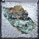 Mineral Specimen: Clinoclase from Majuba Hill Mine, Pershing Co., Nevada, Collected by Steve Pullman Mineral Specimen: Clinoclase from Majuba Hill Mine, Pershing Co., Nevada, Collected by Steve Pullman