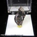 Mineral Specimen: Meteorite, Canyon Diablo, Iron/Nickel (appx. 6 grams) from Canyon Diablo, Coconino Co., Arizona, Ex. Norm Woods Mineral Specimen: Meteorite, Canyon Diablo, Iron/Nickel (appx. 6 grams) from Canyon Diablo, Coconino Co., Arizona, Ex. Norm Woods