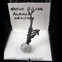 Mineral Specimen: Silver Crystals from Alamos, Municipio de Alamos, Sonora, Mexico, Ex. Norm Woods Mineral Specimen: Silver Crystals from Alamos, Municipio de Alamos, Sonora, Mexico, Ex. Norm Woods