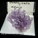 Mineral Specimen: Amethyst from Guanajuato, Guanajuato, Mexico, Ex. Norm Woods Mineral Specimen: Amethyst from Guanajuato, Guanajuato, Mexico, Ex. Norm Woods