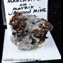 Mineral Specimen: Marcasite from Linwood Quarry, Buffalo, Scott Co., Iowa, Ex. Norm Woods