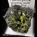 Mineral Specimen: Pyromorphite from Wheatley Mines, Phoenixville Mining Dist., Schuylkill Twp., Chester Co., Pennsylvania, Ex. Norm Woods