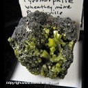Mineral Specimen: Pyromorphite from Wheatley Mines, Phoenixville Mining Dist., Schuylkill Twp., Chester Co., Pennsylvania, Ex. Norm Woods Mineral Specimen: Pyromorphite from Wheatley Mines, Phoenixville Mining Dist., Schuylkill Twp., Chester Co., Pennsylvania, Ex. Norm Woods