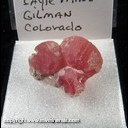 Mineral Specimen: Rhodochrosite from Eagle Mine, Gilman, Eagle Co., Colorado, Ex. Norm Woods Mineral Specimen: Rhodochrosite from Eagle Mine, Gilman, Eagle Co., Colorado, Ex. Norm Woods