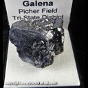 Mineral Specimen: Galena, micro Pyrite crystals from Picher field, Ottawa Co., Oklahoma, Ex. Norm Woods Mineral Specimen: Galena, micro Pyrite crystals from Picher field, Ottawa Co., Oklahoma, Ex. Norm Woods