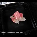 Mineral Specimen: Rhodochrosite, Quartz, Tetrahedrite from Blue Moon Pocket, Main Stope, Sweet Home Mine, Alma District, Colorado, June, 1996 Mineral Specimen: Rhodochrosite, Quartz, Tetrahedrite from Blue Moon Pocket, Main Stope, Sweet Home Mine, Alma District, Colorado, June, 1996