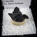 Mineral Specimen: Molybdenite from Climax Mine, Climax, Lake Co., Colorado, Ex. Steve Pullman