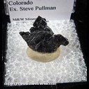 Mineral Specimen: Molybdenite from Climax Mine, Climax, Lake Co., Colorado, Ex. Steve Pullman Mineral Specimen: Molybdenite from Climax Mine, Climax, Lake Co., Colorado, Ex. Steve Pullman