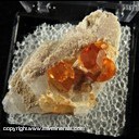 Mineral Specimen: Spessartine Garnet on Albite from Afghanistan, Ex. Norm Woods Mineral Specimen: Spessartine Garnet on Albite from Afghanistan, Ex. Norm Woods
