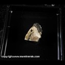 Mineral Specimen: Leucophanite and Aegerine on Albite from Poudrette quarry, Mont Saint-Hilaire, Quebec, Canada