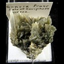 Mineral Specimen: Quartz variety: Prase (Included Hedebergite) from Mega Horio, Serifos Island, Milos, South Aegean, Greece Mineral Specimen: Quartz variety: Prase (Included Hedebergite) from Mega Horio, Serifos Island, Milos, South Aegean, Greece