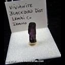 Mineral Specimen: Vivianite from Blackbird dist., Lehmi Co., Idaho, Ex. Norm Woods Mineral Specimen: Vivianite from Blackbird dist., Lehmi Co., Idaho, Ex. Norm Woods