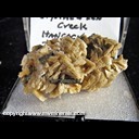 Mineral Specimen: Dolomite, Pyrite (with unusual bar formation) from Crystal Glen Creek, Hancock Co., Illinois, Ex. Norm Woods Mineral Specimen: Dolomite, Pyrite (with unusual bar formation) from Crystal Glen Creek, Hancock Co., Illinois, Ex. Norm Woods