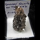 Mineral Specimen: Smoky Quartz on Petrified Wood (crystals all the around) from Alabama, Ex. Norm Woods Mineral Specimen: Smoky Quartz on Petrified Wood (crystals all the around) from Alabama, Ex. Norm Woods