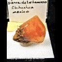 Mineral Specimen: Wulfenite from Mina Erupcion, Sierra de Los Lamentos, Muncipio de Ahumada, Chihuahua, Mexico, Ex. Norm Woods