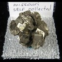 Mineral Specimen: Pyrite from Atlas Cement Quarry, Ralls Co., Missouri, Collected by Norm Woods