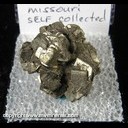 Mineral Specimen: Pyrite from Atlas Cement Quarry, Ralls Co., Missouri, Collected by Norm Woods Mineral Specimen: Pyrite from Atlas Cement Quarry, Ralls Co., Missouri, Collected by Norm Woods