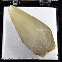 Mineral Specimen: Calcite variety: Twinned and Double Terminated from Delphi Limestone Co. Quarry, Delphi, Carroll Co., Indiana, Ex. Norm Woods Mineral Specimen: Calcite variety: Twinned and Double Terminated from Delphi Limestone Co. Quarry, Delphi, Carroll Co., Indiana, Ex. Norm Woods