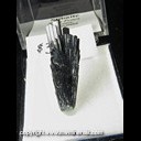 Mineral Specimen: Stibnite from Herja Mine, Chiuzbaia, Baia Mare, Maramures, Romania, Ex. Norm Woods Mineral Specimen: Stibnite from Herja Mine, Chiuzbaia, Baia Mare, Maramures, Romania, Ex. Norm Woods