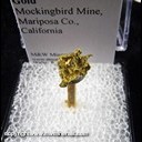 Mineral Specimen: Gold from Mockingbird Mine, Mariposa Co., California Mineral Specimen: Gold from Mockingbird Mine, Mariposa Co., California