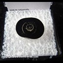 Mineral Specimen: Black Coral from Hawaii Mineral Specimen: Black Coral from Hawaii