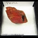 Mineral Specimen: Rhodochrosite from Peru, Ex. Norm Woods