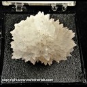 Mineral Specimen: Calcite from Knoxville, Keokuk Co., Iowa, Ex. Norm Woods Mineral Specimen: Calcite from Knoxville, Keokuk Co., Iowa, Ex. Norm Woods
