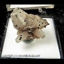 Mineral Specimen: Pyrite on Calcite on Bryozoan Coral Fossil from Indiana, Ex. Norm Woods Mineral Specimen: Pyrite on Calcite on Bryozoan Coral Fossil from Indiana, Ex. Norm Woods