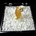 Mineral Specimen: Barite on Calcite from Wood Co., Ohio, Ex. Norm Woods Mineral Specimen: Barite on Calcite from Wood Co., Ohio, Ex. Norm Woods