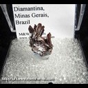 Mineral Specimen: Rutile variety: Reticulated Twins from Diamantina, Minas Gerais, Brazil Mineral Specimen: Rutile variety: Reticulated Twins from Diamantina, Minas Gerais, Brazil