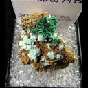 Mineral Specimen: Brochantite from Socorro Co., New Mexico, Ex. Norm Woods Mineral Specimen: Brochantite from Socorro Co., New Mexico, Ex. Norm Woods