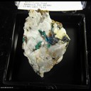 Mineral Specimen: Connellite from 150 ft level, Gold Hill Mine, Clifton dist., Tooele Co., Utah, Ex. S. Pullman, Collected by Pad Woolgemott Mineral Specimen: Connellite from 150 ft level, Gold Hill Mine, Clifton dist., Tooele Co., Utah, Ex. S. Pullman, Collected by Pad Woolgemott